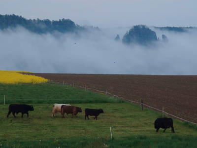 Bild 11 aus  Ferienhof Richter