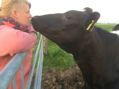 Bild 8 aus  Küstenhof Oldewurtel