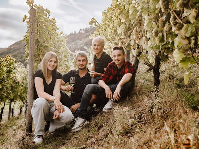 Bild 4 aus  Wein & Wohngut Paulushof