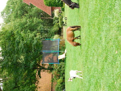 Spiel und Liegewiese