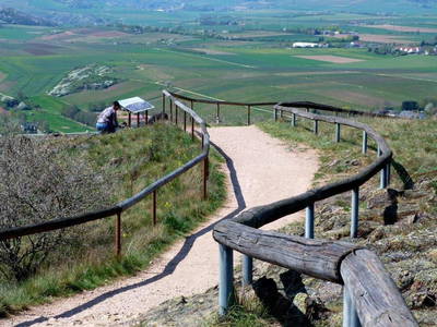 Bild 18 aus  Weingut Butzbach