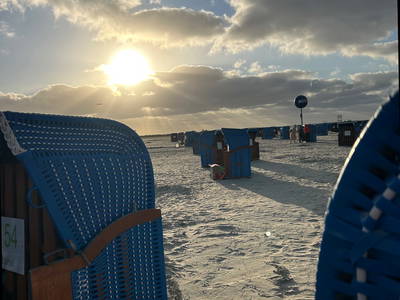 Bild 25 aus  Der Wilhelminenhof