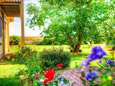 Bild 6 aus  Kleine Viecherei