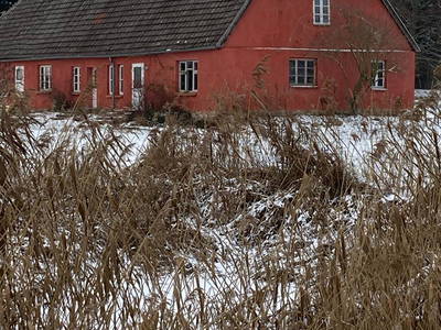 Bild 19 aus  Gutshaus Rensow & Alte Schule