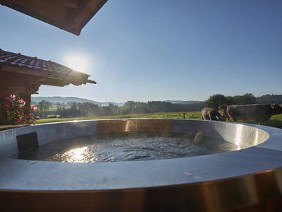 Bild 10 aus  Wenighof