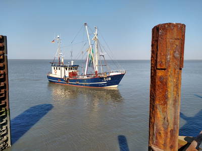 Bild 19 aus  Nordseefewo Lämmerblick