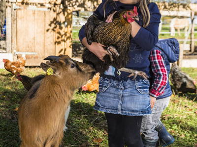 Bild 23 aus  Keilhof