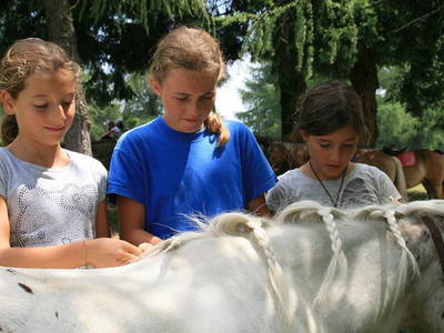 Bild 33 aus  Wietererhof