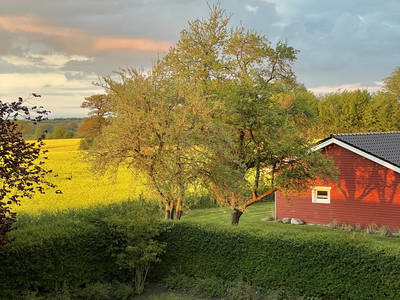 Bild 2 aus  Hof Schackenkamp  Urlaub an der Ostsee