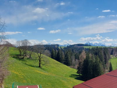 Aussicht vom Balkon der Ferienwohnungen