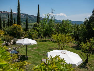 Bild 32 aus  Tenuta Il Cicalino