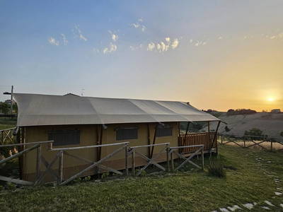 Bild 12 aus  La Viola e il Sole