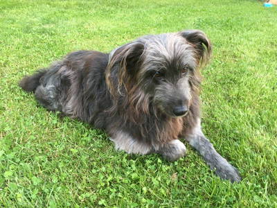 Bild 22 aus  Steinermühle