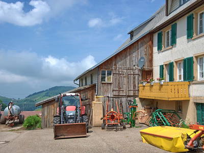 Bild 4 aus  Willkommen bei Familie Gutmann  auf dem Itzenwaldhof