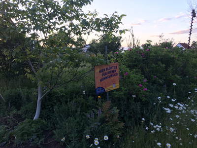 Bild 8 aus  BIO HOF BRINKMANN