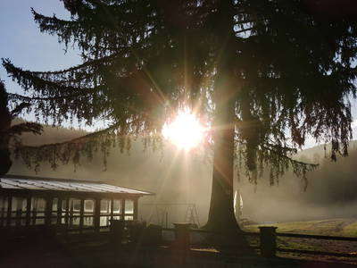 Bild 8 aus  Hienhardter Hof