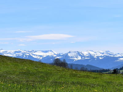 Bild 3 aus  Ferienhof zum Prinz