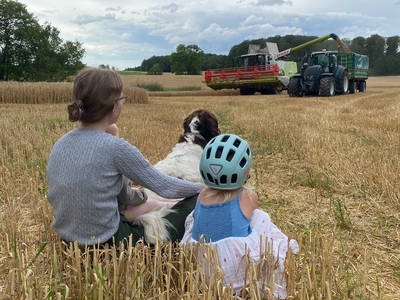 Bild 11 aus  Ferienhof Theede- Urlaub in Ostseenähe