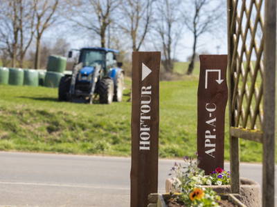 Bild 6 aus  kleinHOTEL Steinau-Rabenstein