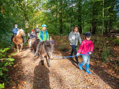 Bild 25 aus  LandSelection Ferienhof Radlandsichten