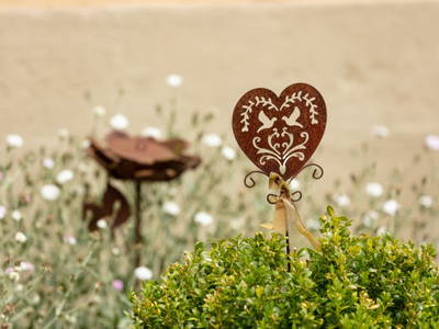 Bild 5 aus  Hof in Liebesdorf