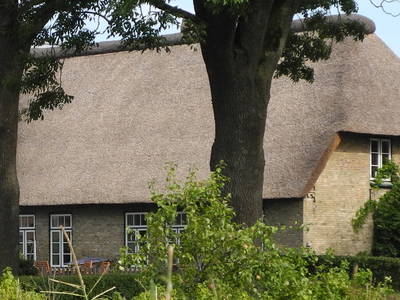 Bild 4 aus  Fjordgestüt Süderstapel GbR