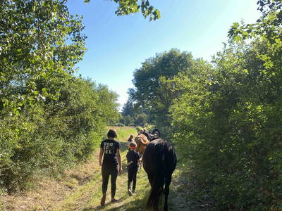 Bild 8 aus  LandSelection Rüsterhof