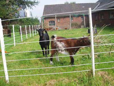 Bild 14 aus  Ferienhof Hohenhenne