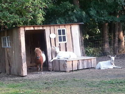 Bild 14 aus  Hof hinterm Deich