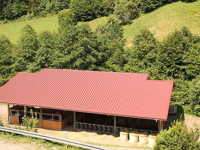 Bild 4 aus  Springhansenhof im Schwarzwald