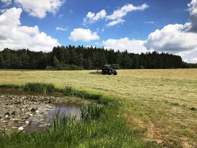 Bild 35 aus  Schelterhof