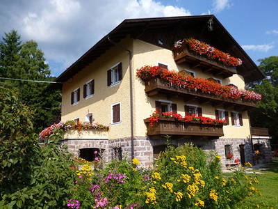 Bild 5 aus  Steinerhof