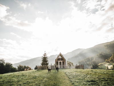 Bild 21 aus  LandSelection Proneben Gut