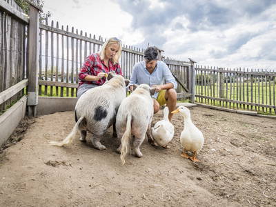 Bild 32 aus  Urlaub am Regen - Biobauernhof Dirnberger
