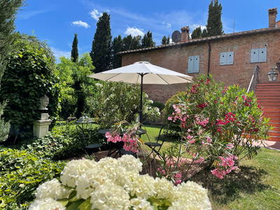 Garten oberhalb des Pools