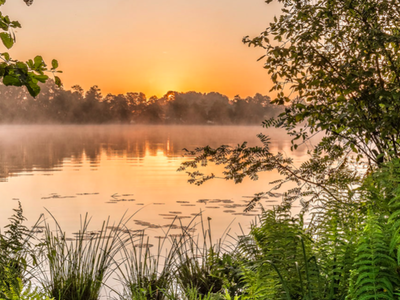 Bild 27 aus  Ferienwohnungen Seehof am Waginger See