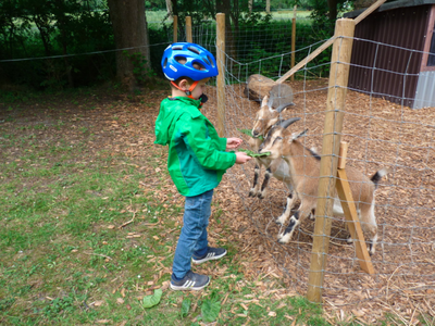 Bild 7 aus  Ferienhof Martens