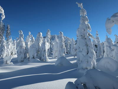 Bild 35 aus  Wenighof