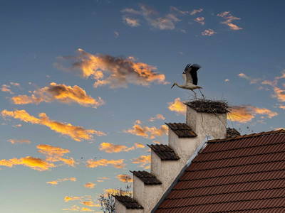 Bild 27 aus  An Webers Stoag