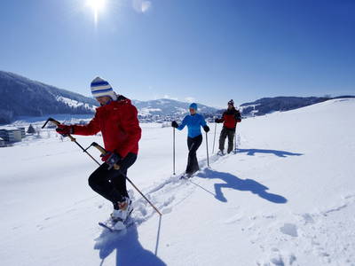 Bild 40 aus  Schädlerhof