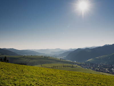 Bild 11 aus  Friedershof