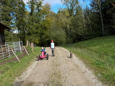 Bild 21 aus  Ferienwohnungen "Zum Baur" - Walser