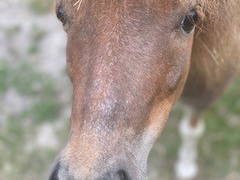 Bild 34 aus  Ferienwohnung Schöner Winkel