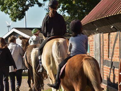 Bild 29 aus  Sonis kleine Farm Grömitz