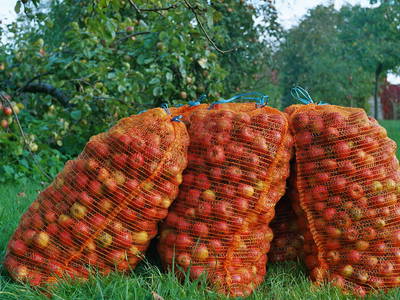 Bild 15 aus  Gutshaus Barkow