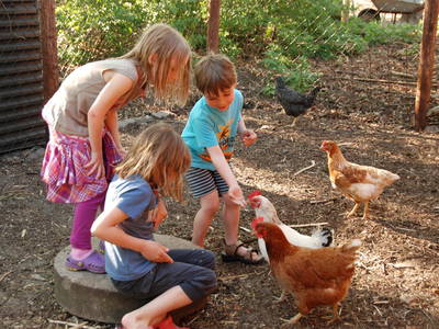 Bild 13 aus  Ferienhof Tödter