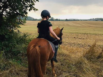 Bild 22 aus  Ferienhof Sell Bauernhofurlaub Ostsee Ponys