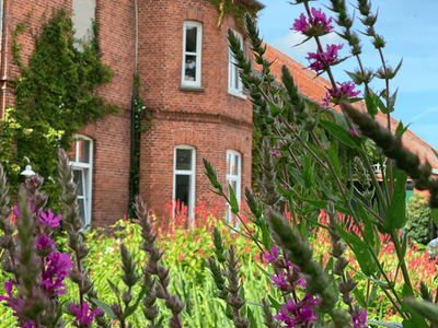 Bild 6 aus  Der Wilhelminenhof