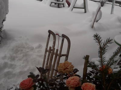 Bild 34 aus  Bichlerhof