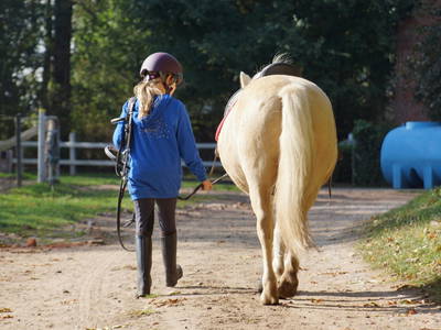 Bild 30 aus  LandSelection Ferienhof Friedrichsthal